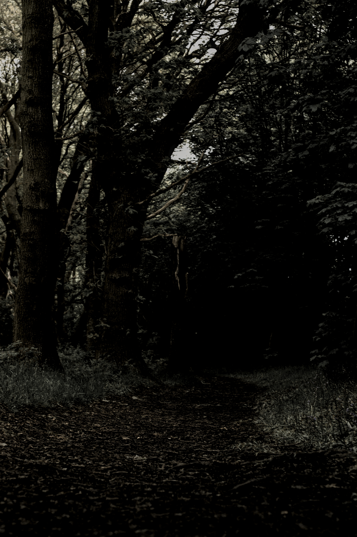 Dark